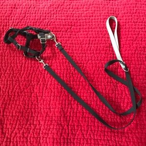 Freedom no pull dog harness and leash - size XS
